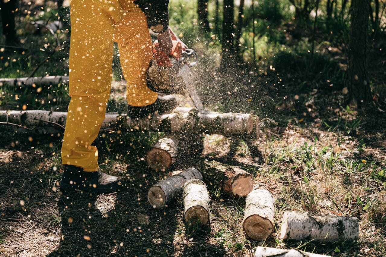 Tree Branch Trimming in Claremont, NC